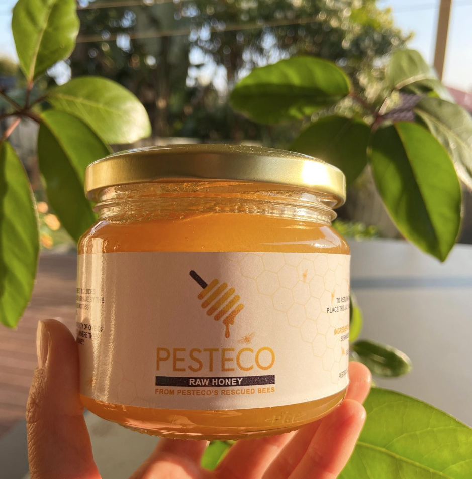 A jar of Pesteco raw honey from rescued bees, held in sunlight against green foliage