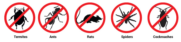 pest control management - types of pests